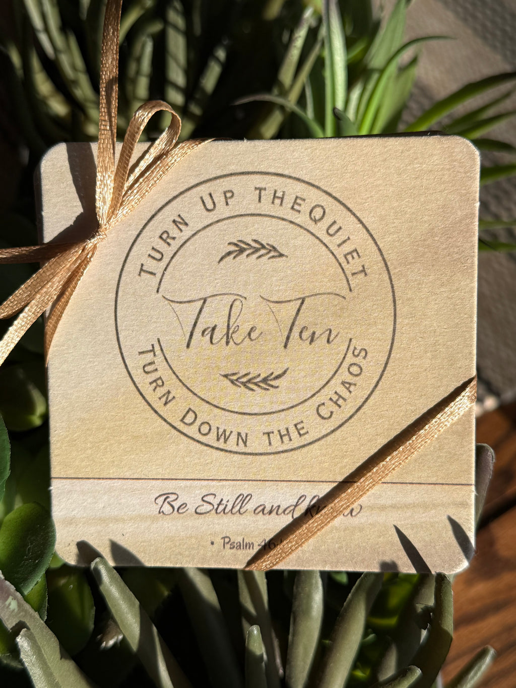 Take Ten Coasters